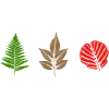 Leaves Design