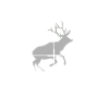 Jäger Jagt.Hirsch Geschenkidee