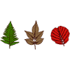 Leaves