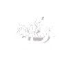 Drachenboot Papa