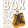 BOXING GLOVES BOX