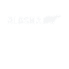 Alaska Bear USA America State