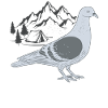 pigeon in the mountains