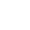 Schulbus