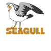 Seagull