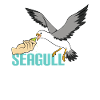 Seagull