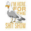 Seagull