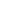 Seagull