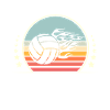 Volley-ball