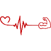 Muscle haltère cardiaque