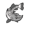 Königsfischen