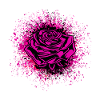 Rose Illustration