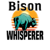 Buffle Bison Buffle Amérindien