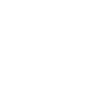 Brandlbracke