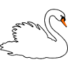 White swan