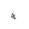 Champ Boxen Boxhandschuhe Geschenk