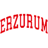 Erzurum