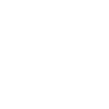 Mudi