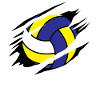 Volleyball Ball Volleyball Player