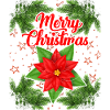 Christmas branches, poinsettia, Christmas motif