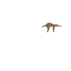 Sloths Heartbeat Sloth Chilling