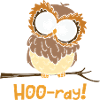 Hoo-ray Owl Funny Animal Puns