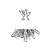Feu de camp Bushcraft