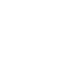 Pilot