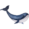 Cute friendly Whale