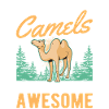 Because Camels are freaking awesome camel