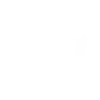 Sport Evolution Ice Hockey