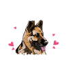 Deutscher Schäferhund Hund