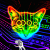 Katze 4