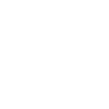 Ghost Hunt Paranormal Investigator