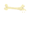 Archaeology