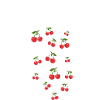 Cherry rain