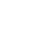 Geige