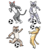 Football Cat Lovers Pet Kitten