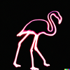 Neon Storch