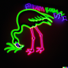 Neon Vogel