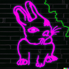 Neon hase