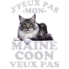 Chat Maine coon