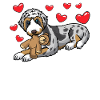 Aussiedoodle Hund Mit Kuscheltier