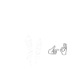 Silvester Knallen