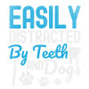 Dentist Cats dog Owner