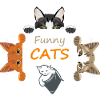 Funny spying cats