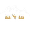 Mountains and Hiking