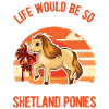 Shetland Pony Cadeau Shetty