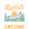 Rabbit Gift Rabbit Rabbit