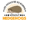 Hedgehog Gift Stacheligel